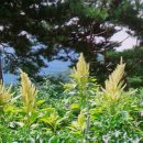 별과 달 펜션 이미지