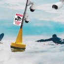 SOUL SPORT 이미지