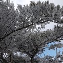 망경산성 이미지