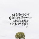 사랑으로 이미지
