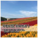 무릉도원 티스토리