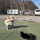 아이랑 가기 좋은 대전 카라반 글램핑, 대둔산캠핑랜드(내돈내산)