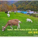 산양목장 이미지