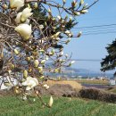 당동목욕탕 이미지