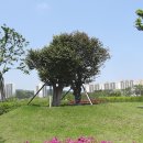 부산시민공원 이미지
