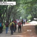 황토 이미지