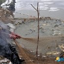 어민농장 이미지