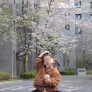 (주)아이파마 이미지