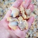 은영수산 이미지