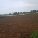 중로2-600 이미지