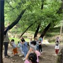 센트럴유치원 이미지