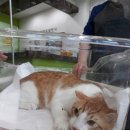 망미동물병원 이미지