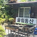 동산숲협동조합 | 가평 애견동반 바베큐장 율림동산｜청평 숲속에서 강아지랑 즐긴 숯불바베큐 후기