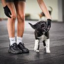 루카스독트레이닝 이미지