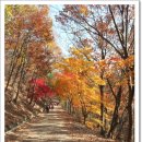 문경새재약국 이미지