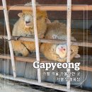 무인카페HILL | 가평 겨울 가볼만한 곳 양떼목장 입장료 당근 먹이주기 체험 목장뷰 카페