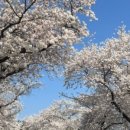 홀리데이 인 경주 이미지