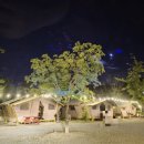 드림모두팜 | 🌿 공주 파크오브드림/팜키즈 체험기