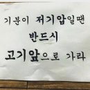 돼지체육관