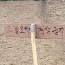 남이 이미지