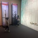 고성공룡박물관야영장 | 경남 고성 공룡박물관 솔직 후기 🦕 아이와 함께 가볼 만한 곳 추천!