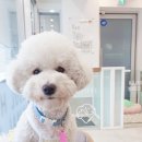 서울하은동물병원 이미지