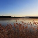 향호목장 이미지