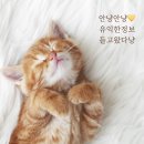 한방백서 | [과탄산수소]세탁부터 주방 청소까지 하나로! 생활백서 과탄산소다 500g 사용 후기