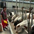 박순자농장 이미지