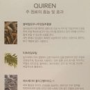 이솜에스테틱