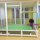 광주송정초등학교 병설유치원 이미지