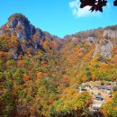 단풍약국 Daum카페