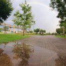 세운버스 이미지