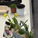 삼성물산 | [플라워클래스] 기업 플라워클래스 / 삼성물산 임직원클래스 진행 후기