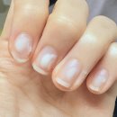 달팽이 | 보드링 달팽이 핸드크림 후기