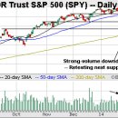 Volatility Index raises caution flag for market bears-Market Watch 2/4 : 뉴욕 증권거래소 각 주가지수 기술적차트 분석 이미지