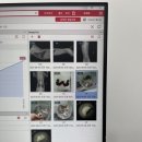 곰곰동물병원