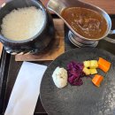 도쿄 긴자 맛집! 현지인도 줄 서는 카레 솥밥 잇타이칸 내돈내산 웨이팅 후기