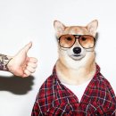 진지하개 이미지