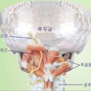 포텐 휘트니스 루원시티점 이미지