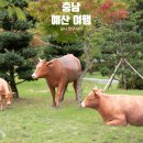 푸른 한우농장 | 충남 예산 여행, 광시한우거리에서 즐기는 한우 맛집 기행