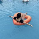 호텔보브 | 여수 솔스테이 풀빌라 펜션 르보브C 내돈내산 후기 /여수여행 숙소 추천