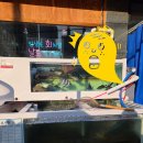 박영철 사시미 이미지