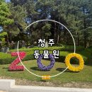 추자힐링랜드 | "청주여행 가볼만한곳 찾는다면? 청주동물원 추천!
