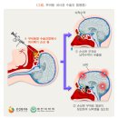 코요 - 중구 을지로16길 5-12 | 코요