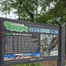 업힐 대체할 여름 러닝코스 발견, 관악산공원 와이프랑 데이트 겸 등산 조지고 온 후기 (ft. 맨발 황톳길)