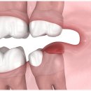 울산시청 이미지