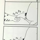 야옹이발바닥 이미지