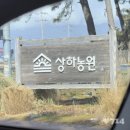 육천세탁 | 고창 상하농원 파머스빌리지 패밀리룸 상하목장 스파 조식 후기