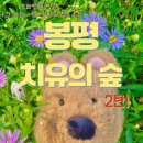 네모2 | 여행] 네발트립과 함께하는 봉평 치유의 숲 여행 내돈내산 후기 2탄 (feat. 카페 슬로우26, 터득골북샵)